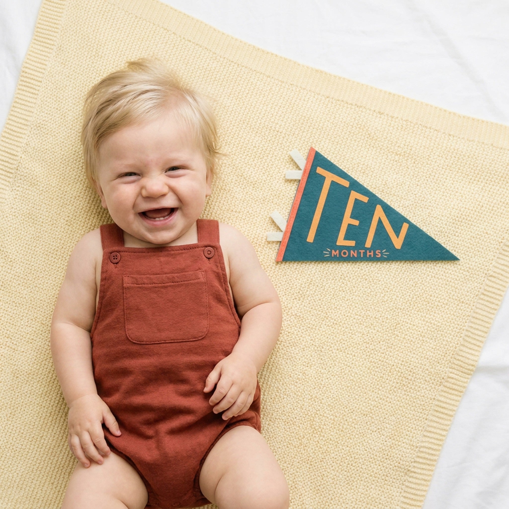 Little Kaleidoscope Petit Milestone Pennants