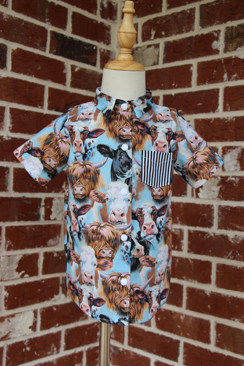 Boys Snap Down Shirt - Cows