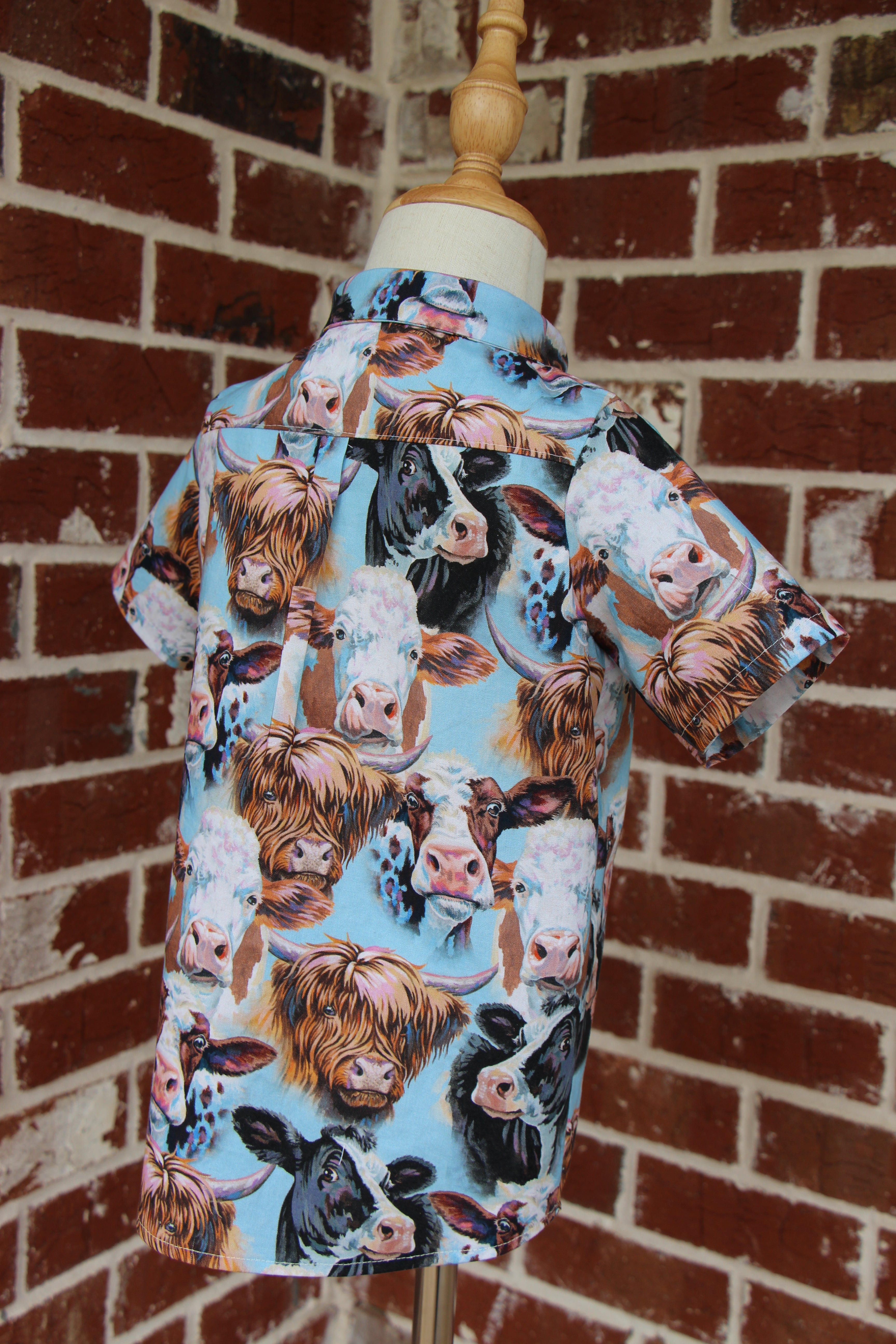Boys Snap Down Shirt - Cows