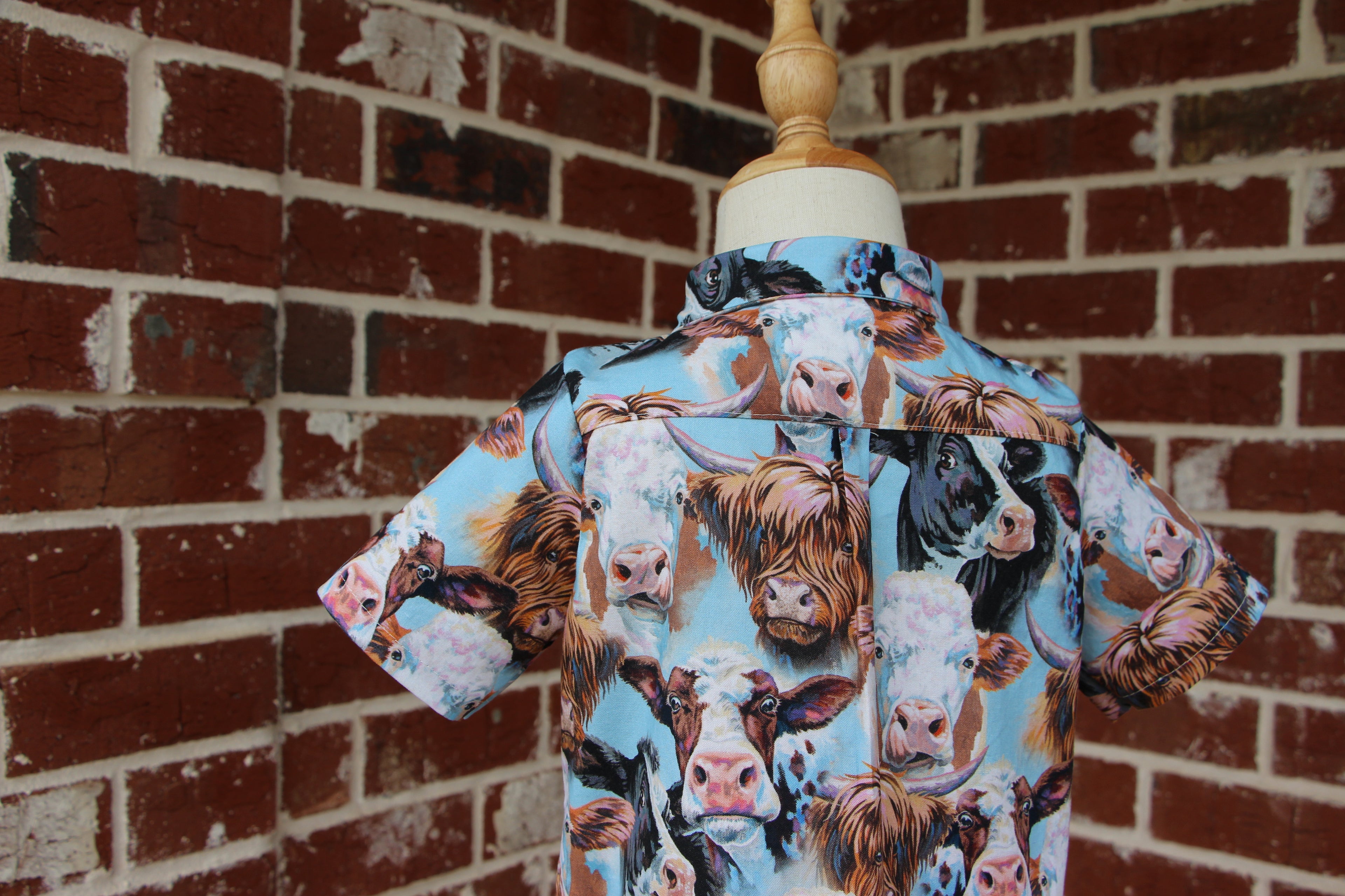 Boys Snap Down Shirt - Cows