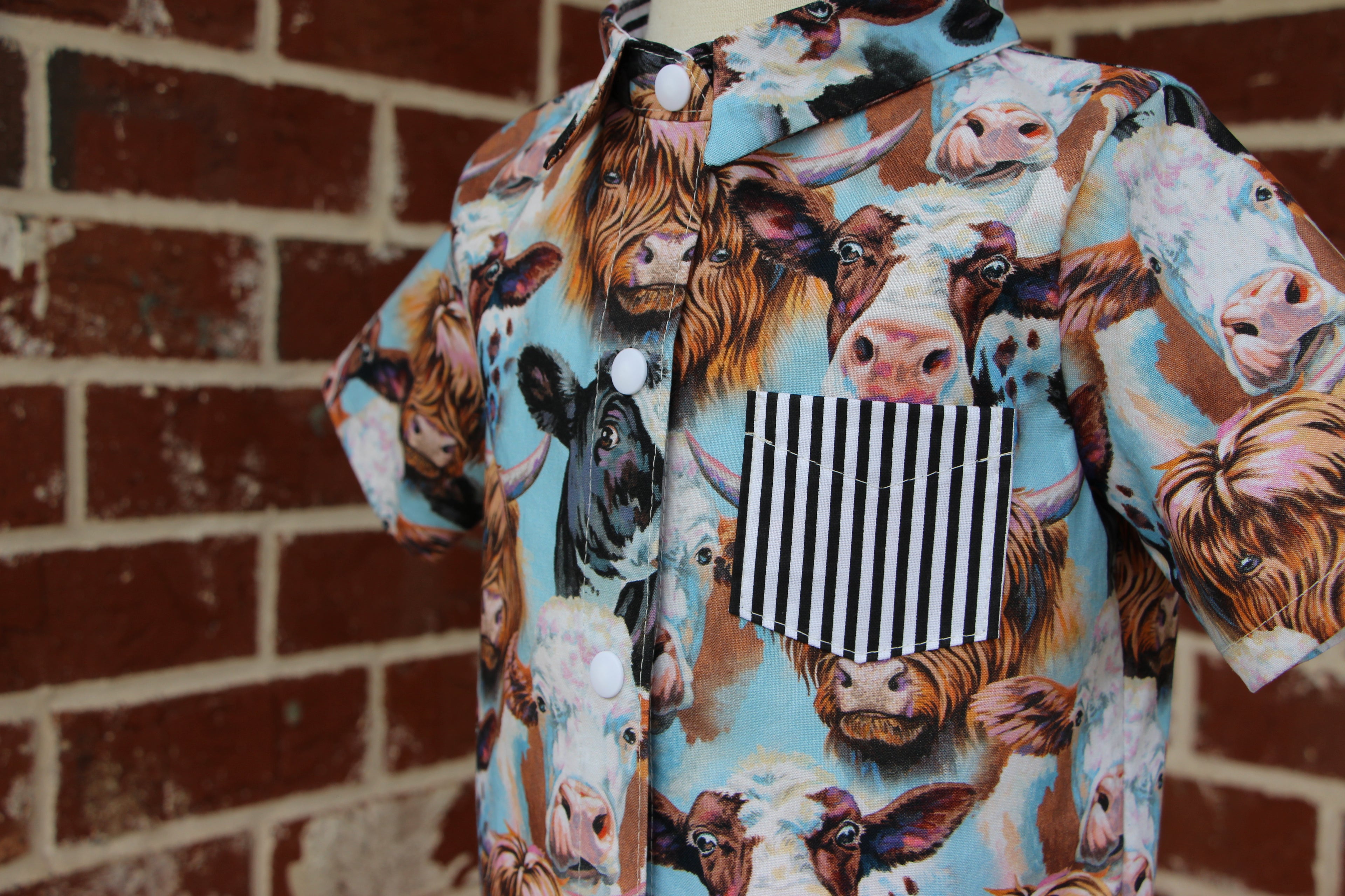 Boys Snap Down Shirt - Cows